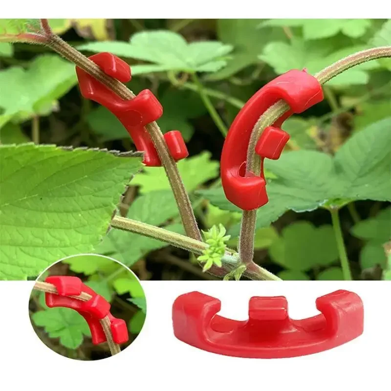 10-100 قطعة من مشابك ثني النبا - مراجعة Plant Parent Tools وسعره