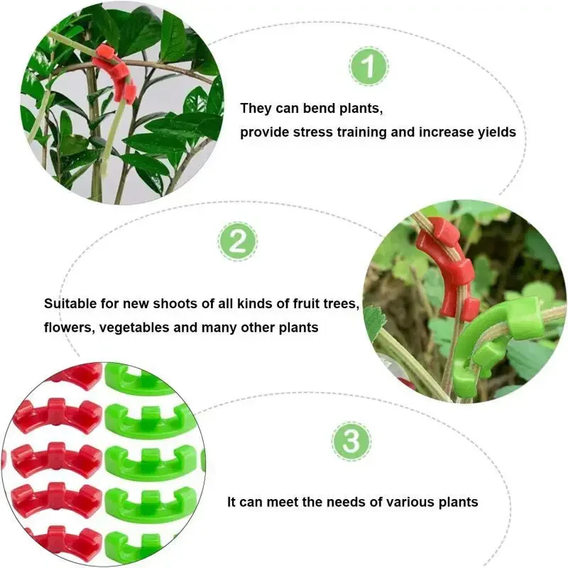 10-100 قطعة من مشابك ثني النبا - مراجعة Plant Parent Tools وسعره