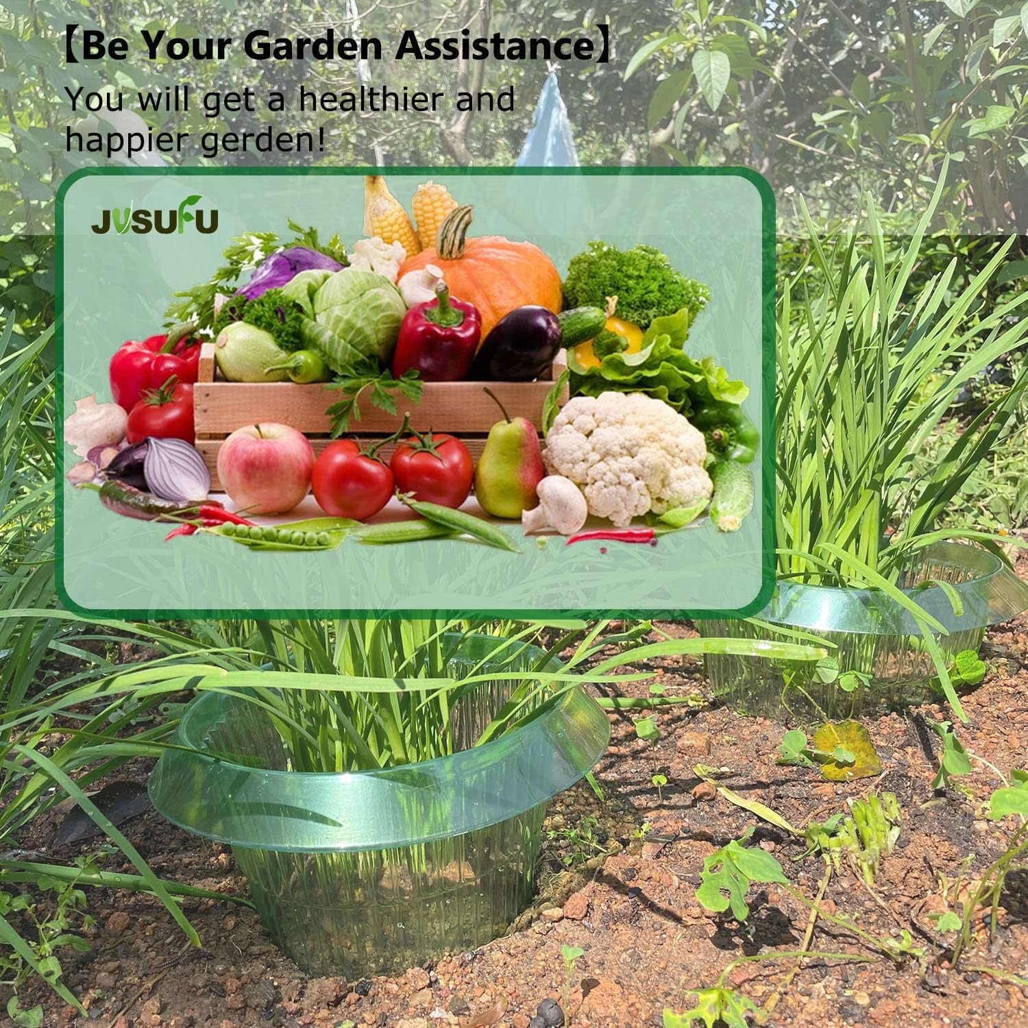 1/30 قطعة حلقات حماية النباتات - مراجعة Plant Parent Tools وسعره