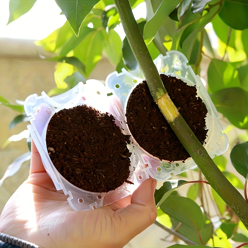 10 قطع من أدوات تكاثر النباتات - مراجعة Plant Parent Tools وسعره